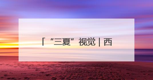 “三夏”视觉｜西平县：高标准农田里上演昼夜不停的“速度与激情”